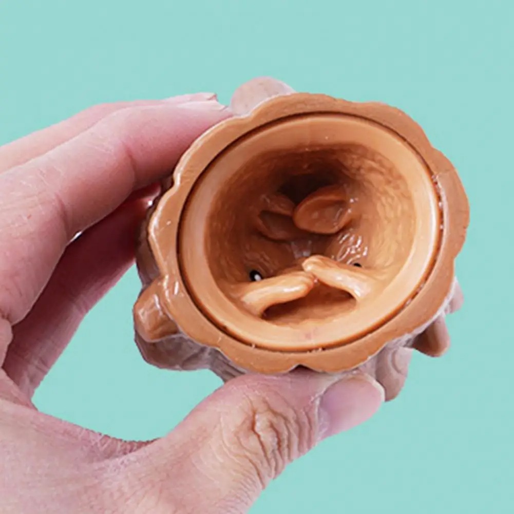 Pop Up Lustige Maus Und Käse B – Photography Jokes Bewertung und Preis